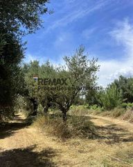 Αγροτεμάχια 7.489 τ.μ. για πώληση