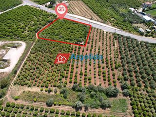Αγροτεμάχια 2.658 τ.μ. προς πώληση, Κέντρο Ασίνης-thumb-9