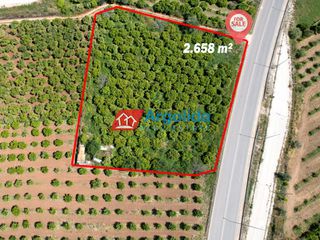 Αγροτεμάχια 2.658 τ.μ. προς πώληση, Κέντρο Ασίνης-thumb-5