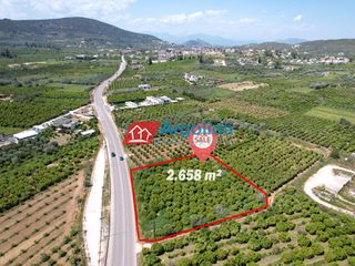 Αγροτεμάχια 2.658 τ.μ. προς πώληση, Κέντρο Ασίνης-thumb-13
