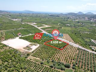 Αγροτεμάχια 2.658 τ.μ. προς πώληση, Κέντρο Ασίνης-thumb-8