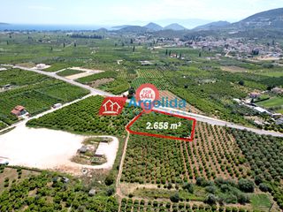 Αγροτεμάχια 2.658 τ.μ. προς πώληση, Κέντρο Ασίνης-thumb-14