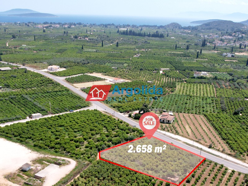 Αγροτεμάχια 2.658 τ.μ. προς πώληση, Κέντρο Ασίνης