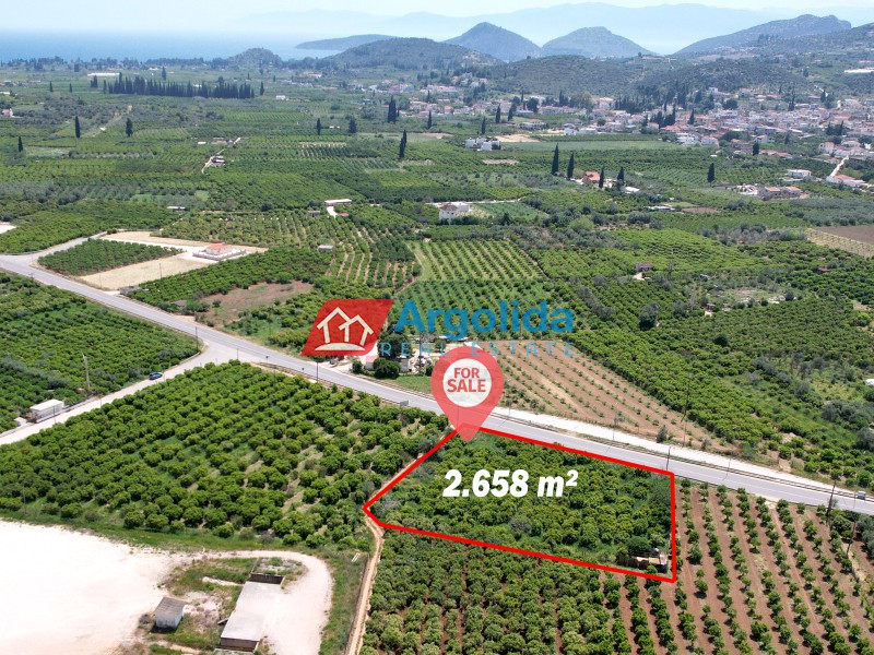 Αγροτεμάχια 2.658 τ.μ. προς πώληση, Κέντρο Ασίνης