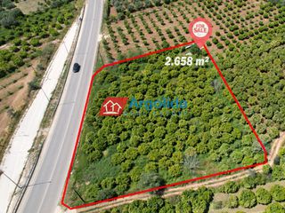 Αγροτεμάχια 2.658 τ.μ. προς πώληση, Κέντρο Ασίνης-thumb-10