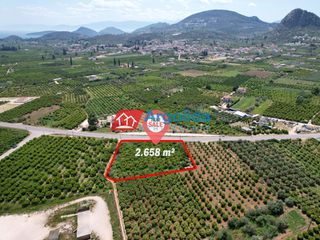 Αγροτεμάχια 2.658 τ.μ. προς πώληση, Κέντρο Ασίνης-thumb-12
