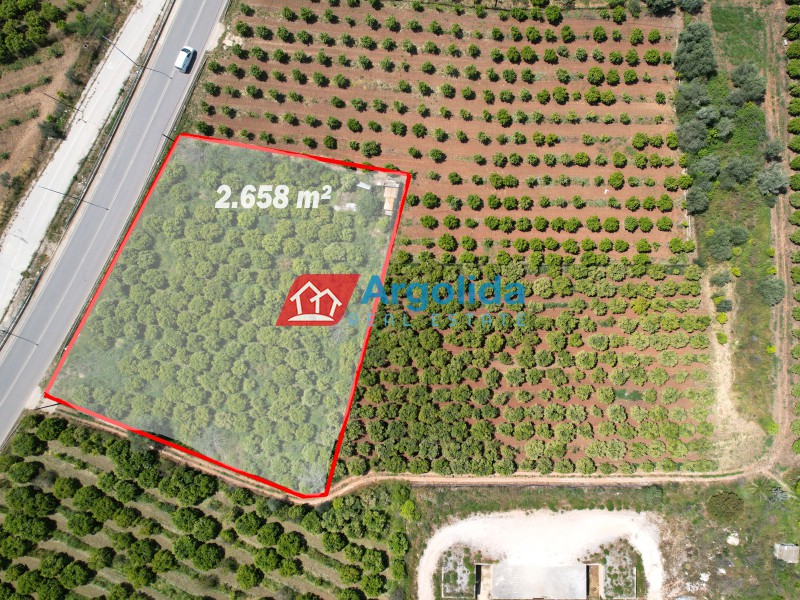 Αγροτεμάχια 2.658 τ.μ. προς πώληση, Κέντρο Ασίνης