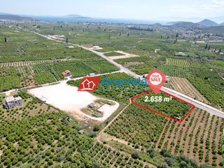 Αγροτεμάχια 2.658 τ.μ. προς πώληση, Κέντρο Ασίνης-thumb-16