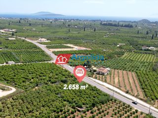 Αγροτεμάχια 2.658 τ.μ. προς πώληση, Κέντρο Ασίνης-thumb-18