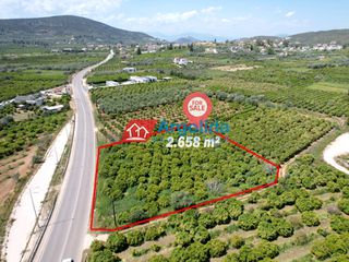 Αγροτεμάχια 2.658 τ.μ. προς πώληση, Κέντρο Ασίνης-thumb-17