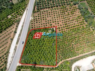 Αγροτεμάχια 2.658 τ.μ. προς πώληση, Κέντρο Ασίνης-thumb-11