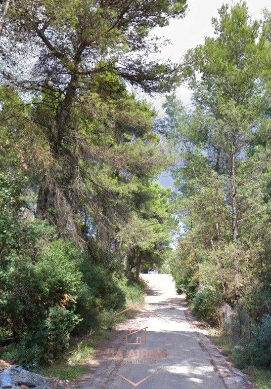 Οικόπεδο 1.000 τ.μ. πρός πώληση, Αθήνα - Βόρεια Προάστια, Εκάλη