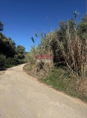 Αγροτεμάχια 4.000 τ.μ. προς πώληση, Χωστή-thumb-1