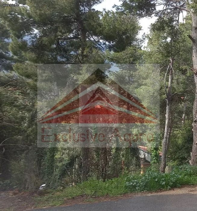 Οικόπεδο 900 τ.μ. πρός πώληση, Αθήνα - Βόρεια Προάστια, Διόνυσος