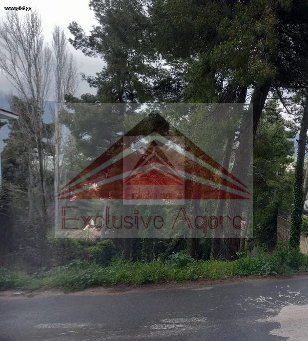 Οικόπεδο 900 τ.μ. πρός πώληση, Αθήνα - Βόρεια Προάστια, Διόνυσος
