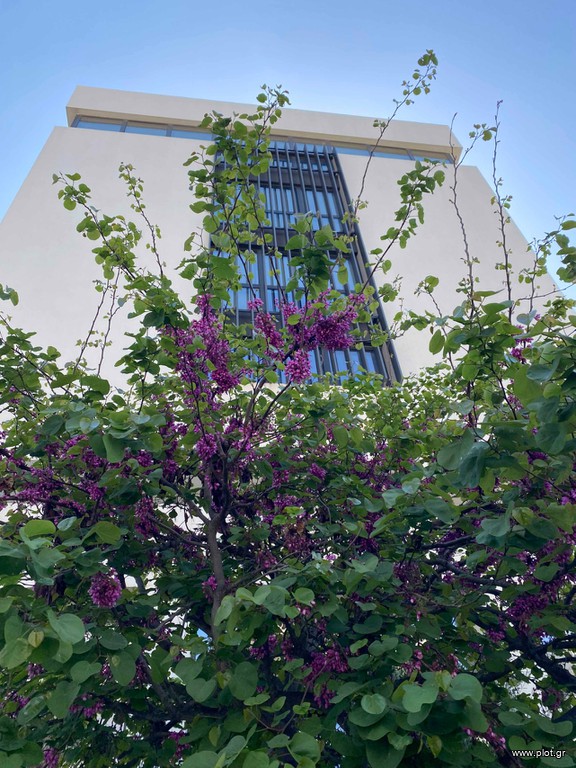 Γραφείο 330 τ.μ. πρός ενοικίαση, Αθήνα - Βόρεια Προάστια, Χαλάνδρι