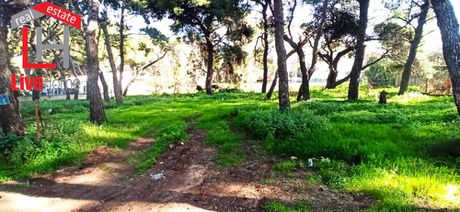 Οικόπεδο 300 τ.μ. προς πώληση