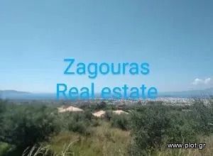 Οικόπεδο 9.000 τ.μ. για πώληση, Μεσσηνία, Καλαμάτα
