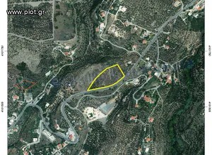 Οικόπεδο 9.000 τ.μ. πρός πώληση, Μεσσηνία, Καλαμάτα
