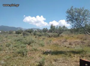 Οικόπεδο 9.000 τ.μ. πρός πώληση, Μεσσηνία, Καλαμάτα