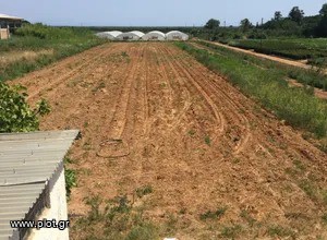 Οικόπεδο 250 τ.μ. πρός πώληση, Μεσσηνία, Μεσσήνη