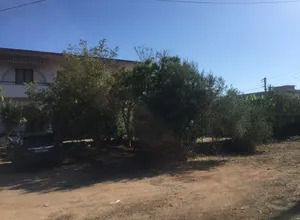 Οικόπεδο 250 τ.μ. για πώληση, Μεσσηνία, Μεσσήνη-thumb-5