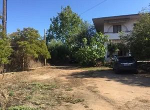 Οικόπεδο 250 τ.μ. για πώληση, Μεσσηνία, Μεσσήνη-thumb-6