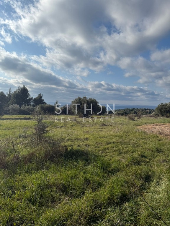 Αγροτεμάχια 25.277 τ.μ. πρός πώληση, Χαλκιδική, Σιθωνία