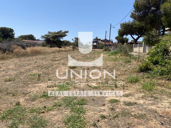 Land plot 1.021 sqm for sale, Athens - East, Artemida (loutsa)