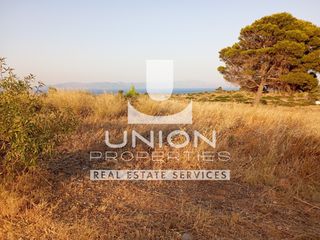 Οικόπεδο 4.612 τ.μ. για πώληση