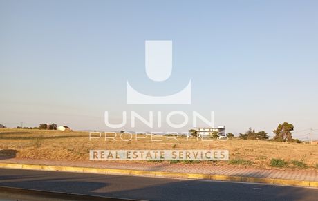 Οικόπεδο 3.900 τ.μ. πρός πώληση