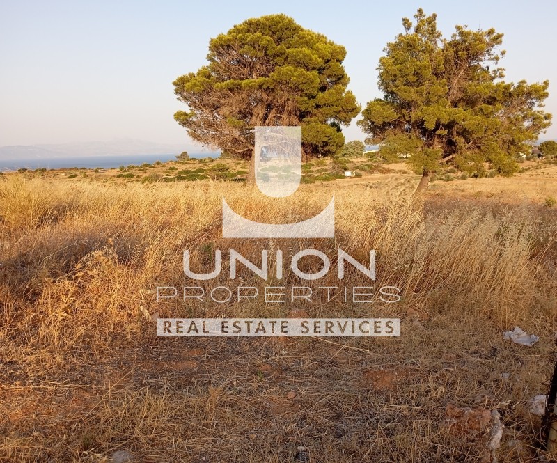 Οικόπεδο 54.262 τ.μ. πρός πώληση, Αττική - Υπόλοιπο, Ραφήνα