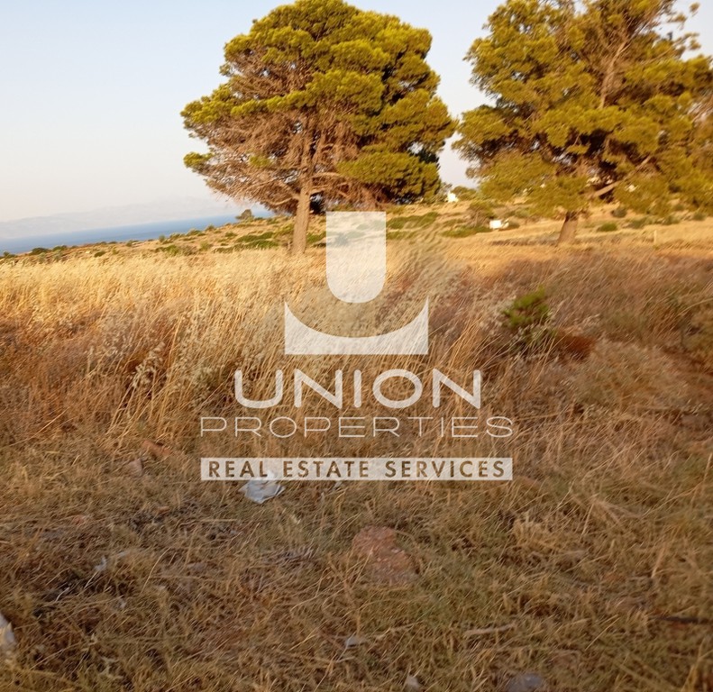 Οικόπεδο 54.262 τ.μ. πρός πώληση, Αττική - Υπόλοιπο, Ραφήνα
