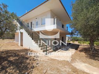 Building 250 sqm for sale