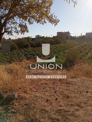 Land plot 1.445 sqm for sale, Athens - East, Artemida (loutsa)