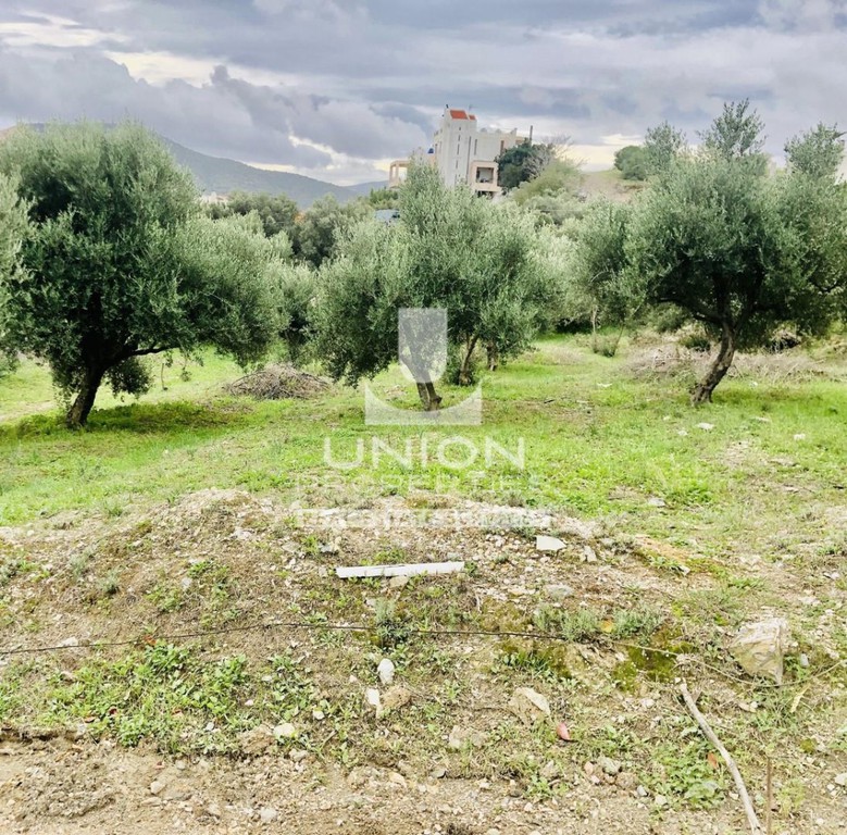 Οικόπεδο 928 τ.μ. πρός πώληση, Αττική - Υπόλοιπο, Μαρκόπουλο