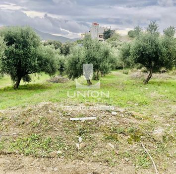 Οικόπεδο 928 τ.μ. πρός πώληση