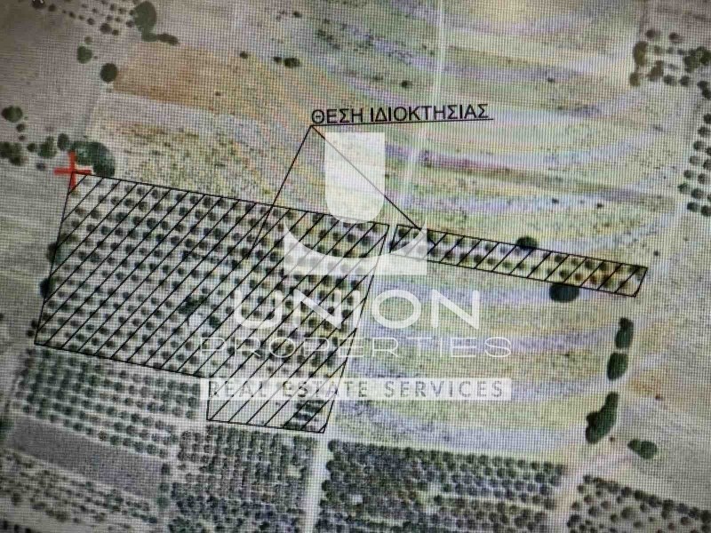 Αγροτεμάχια 22.000 τ.μ. πρός πώληση, Αττική - Υπόλοιπο, Μαρκόπουλο