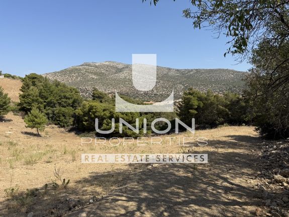 Parcel 6.521 sqm for sale, Rest Of Attica, Kouvaras