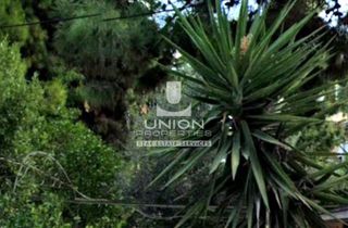 Land plot 650 sqm for sale
