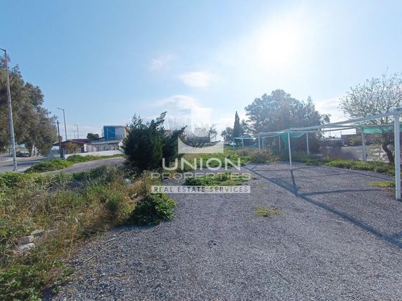 Οικόπεδο 980 τ.μ. για πώληση, Αθήνα - Ανατολικά Προάστια, Αρτέμιδα (λούτσα)