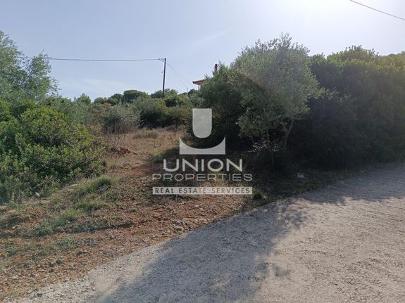 Οικόπεδο 894,73 τ.μ. για πώληση, Αθήνα - Ανατολικά Προάστια, Αρτέμιδα (λούτσα)