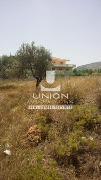 Οικόπεδο 7.245 τ.μ. πρός πώληση