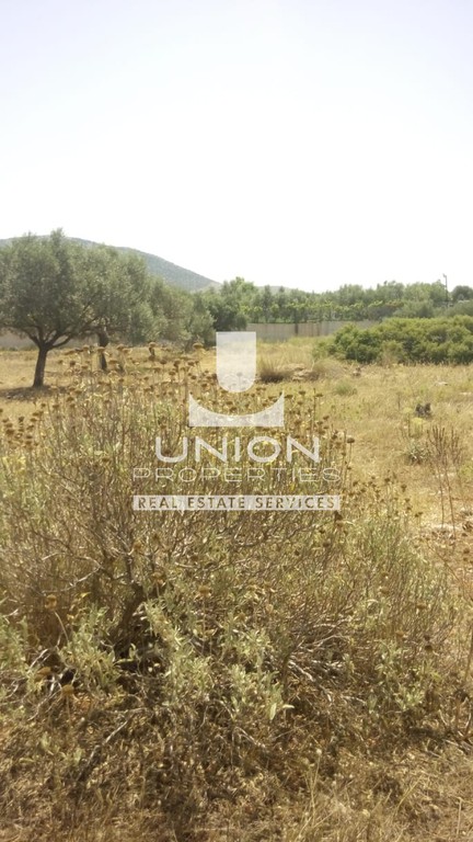 Οικόπεδο 7.245 τ.μ. πρός πώληση, Αττική - Υπόλοιπο, Μαρκόπουλο