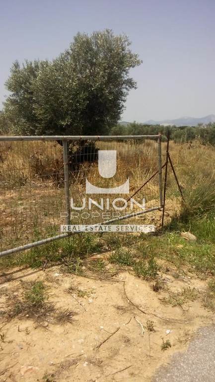 Οικόπεδο 7.245 τ.μ. πρός πώληση, Αττική - Υπόλοιπο, Μαρκόπουλο