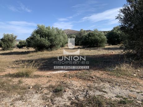 Οικόπεδο 2.500 τ.μ. πρός πώληση