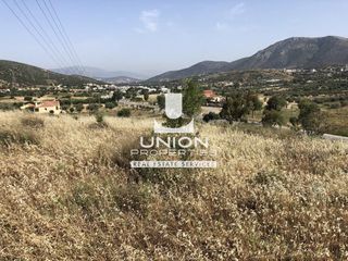 Οικόπεδο 12.500 τ.μ. για πώληση