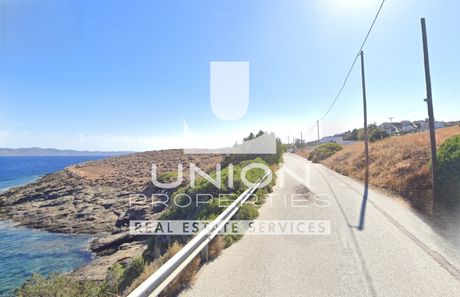 Οικόπεδο 7.700 τ.μ. πρός πώληση