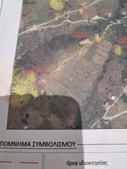 Αγροτεμάχια 4.070 τ.μ. για πώληση
