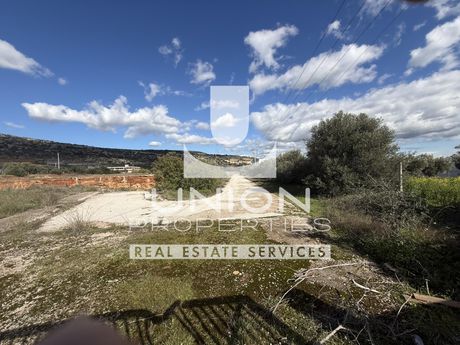 Οικόπεδο 21.286 τ.μ. πρός πώληση